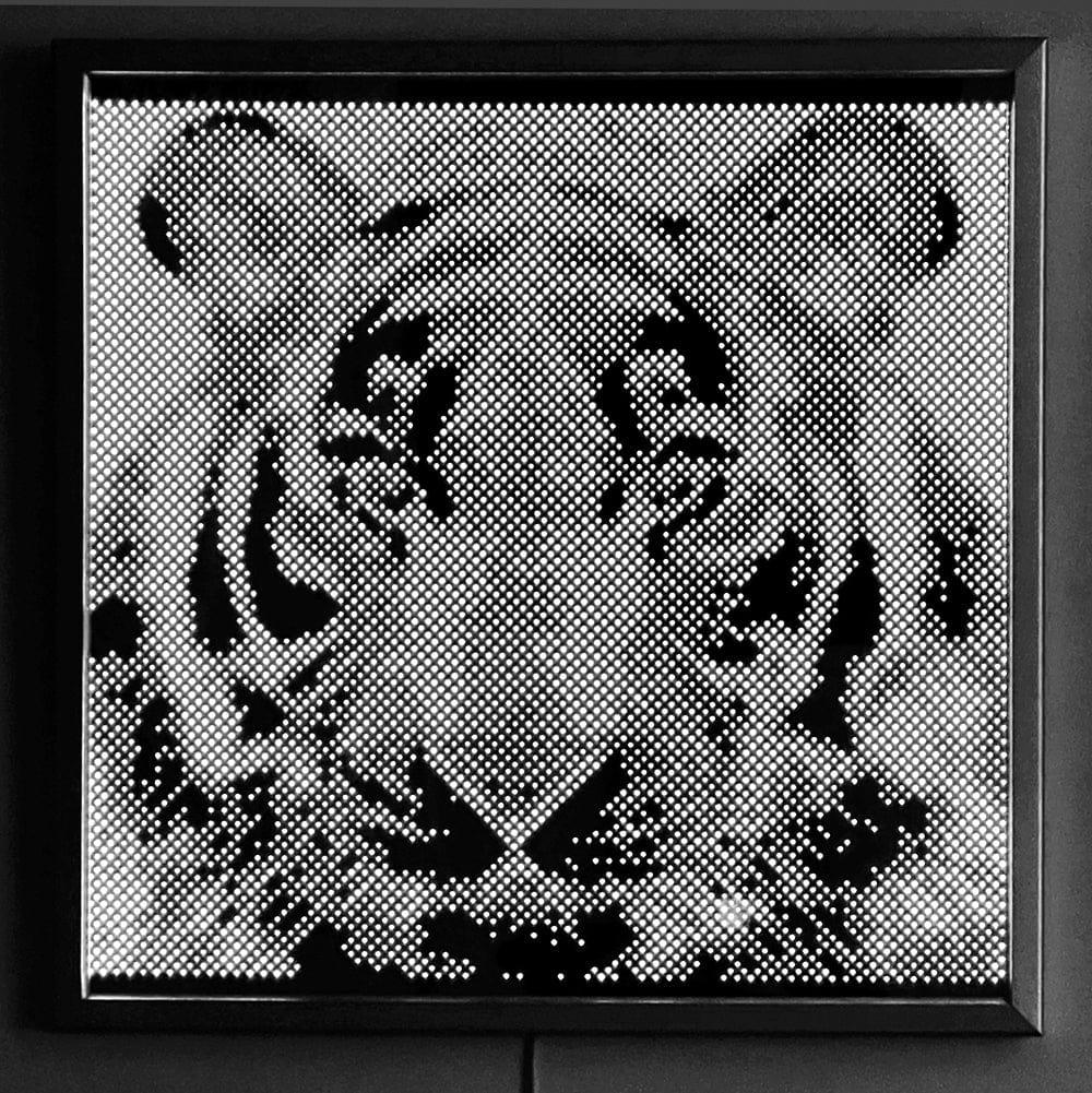 illumiart LED WALL ART Tiger RGB Led TG-02-SS-MD 741365468899
